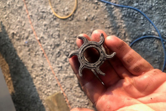 Replacing the Impeller and Fluids Before Summer