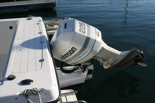 First Start After Storage: Johnson 115HP Outboard Motor Checklist (J115TLCRD)