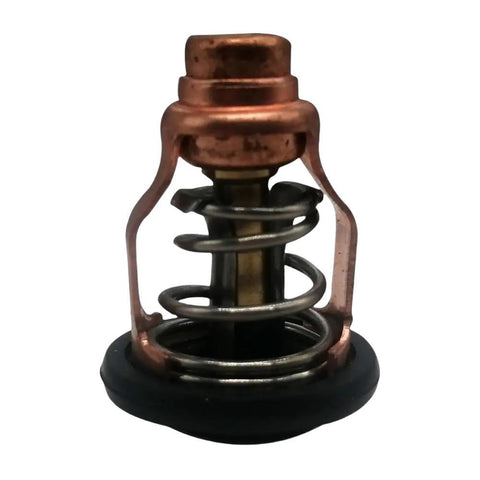 Thermostat for Yamaha 4-Stroke 80-100HP 6D9-12411-00