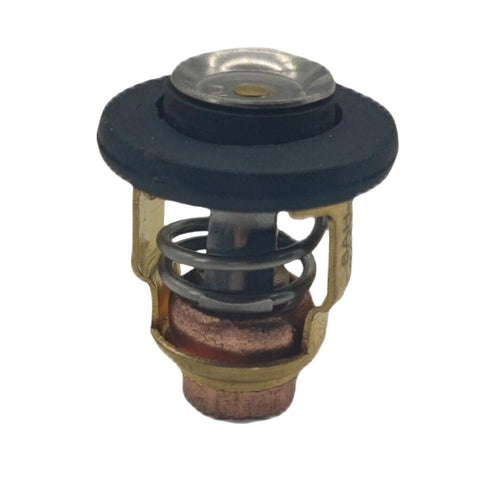 Thermostat for Yamaha 4 Stroke F 9.9 to 70 HP Outboard Motor 6G8-12411-00       69M-12411-00