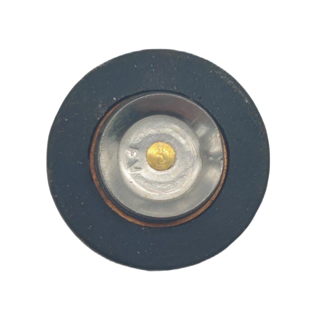 Thermostat for Yamaha 4 Stroke F 9.9 to 70 HP Outboard Motor 6G8-12411-00       69M-12411-00