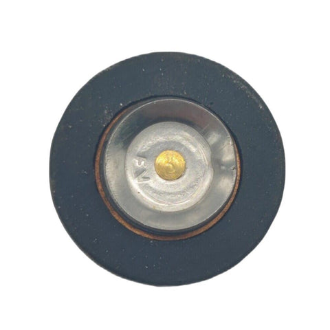 Thermostat for Yamaha 4 Stroke F 9.9 to 70 HP Outboard Motor 6G8-12411-00       69M-12411-00
