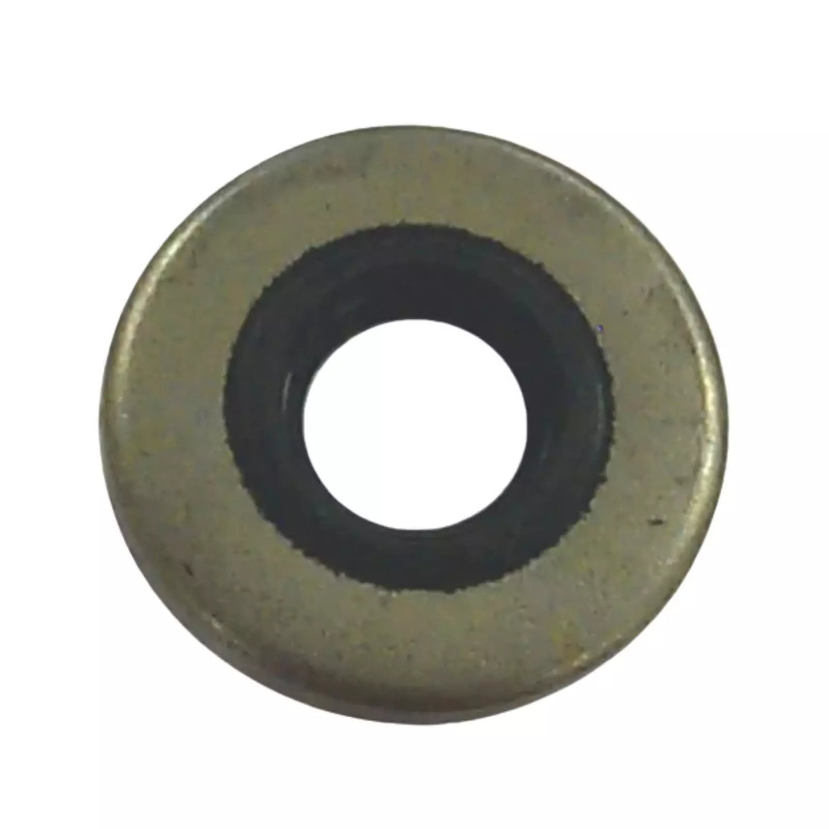 2895 321480 318973 Oil Seal for OMC | JLM Marine