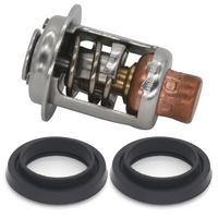 Thermostat & Seals Kit – Fits Johnson/Evinrude 5-235 HP (Replaces 393659, 5005440, 8330720, 777260)