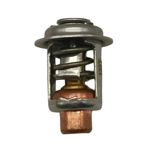 Thermostat for Johnson Evinrude 25HP 200-250HP 5001036 5000355   18-3546 5001036 5000355