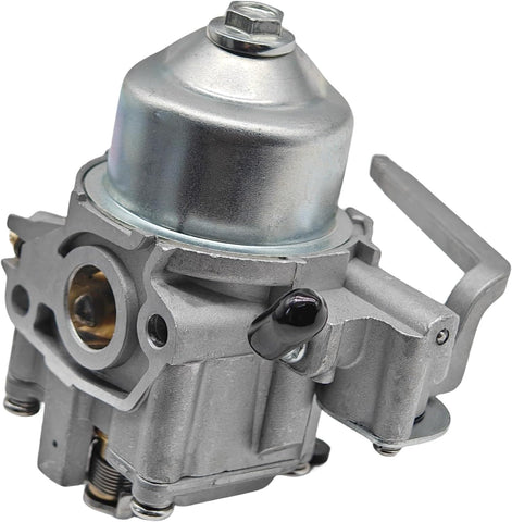 Carburetor for Honda BF 2HP  16100-ZW6-717