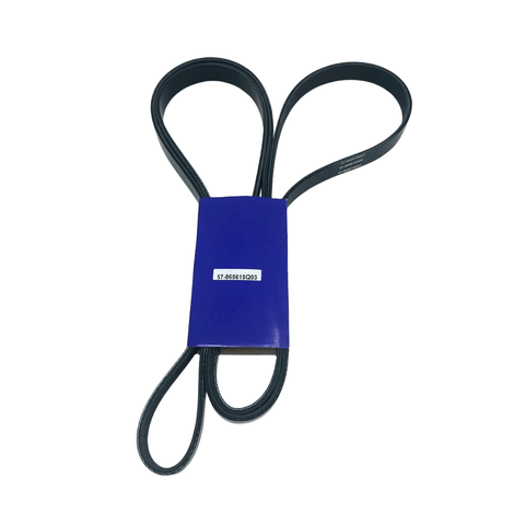 photo of JLM Marine serpentine belt 8638763 cloverleaf fold ribbed black with blue 57-865615q03 label