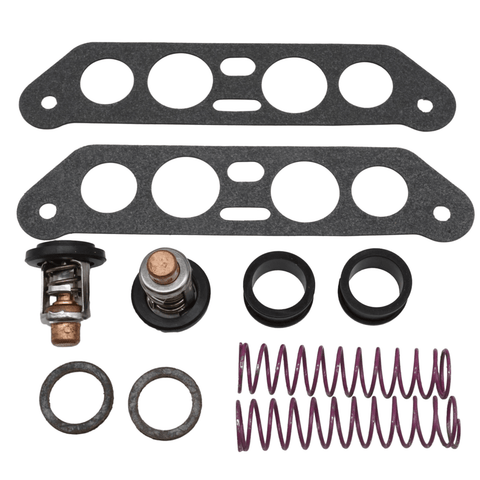 photo of johnson evinrude thermostat kit 18-3673 with two gaskets two thermostats two rubber rings and two metal washers