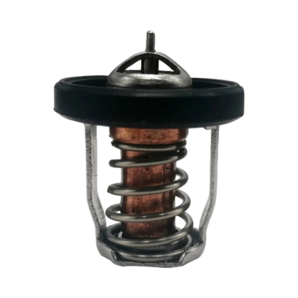 photo jlm marine thermostat df25-20hp 17670-91j00-91j01-91j02 silver metal cap with triangular openings and central pin black rubber seal copper cylinder with metal spring and two silver legs