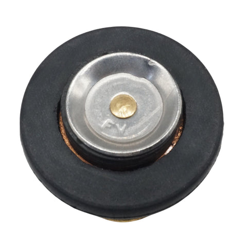 Outboard Thermostat for Yamaha 2 Stroke 3-250 HP Outboard Motors  6E5-12411